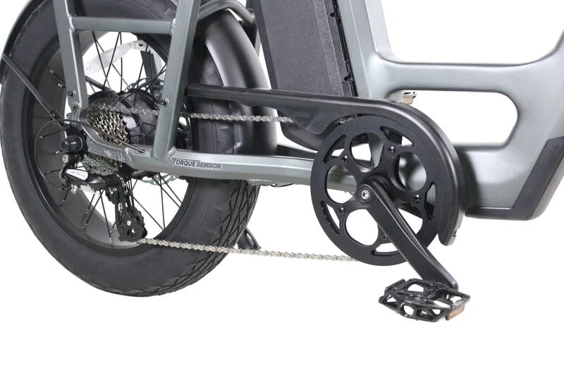 Teslica Care-Go Cargo CG2 Electric Bike