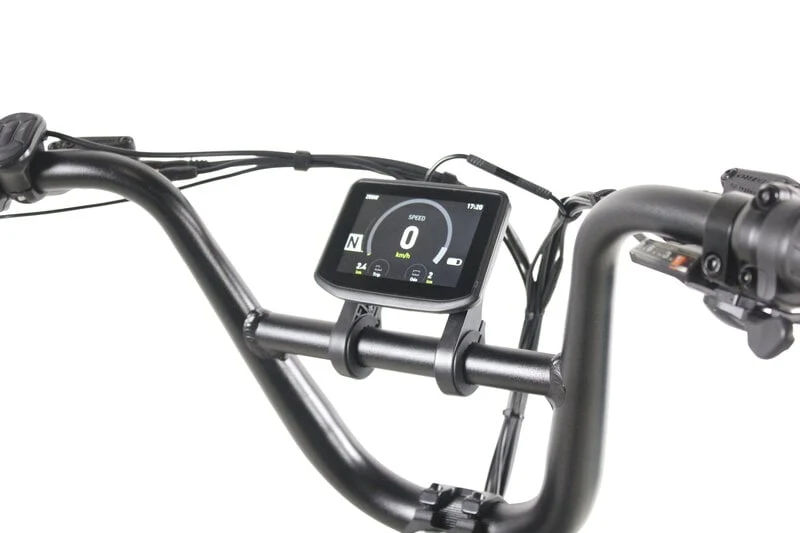 Teslica Care-Go Cargo CG2 Electric Bike