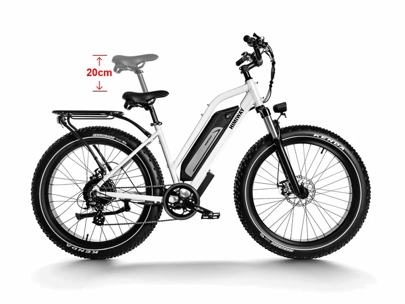 D3 Cruiser E-Bike