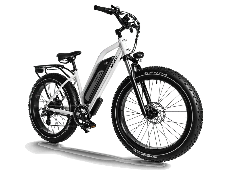 D3 Cruiser E-Bike