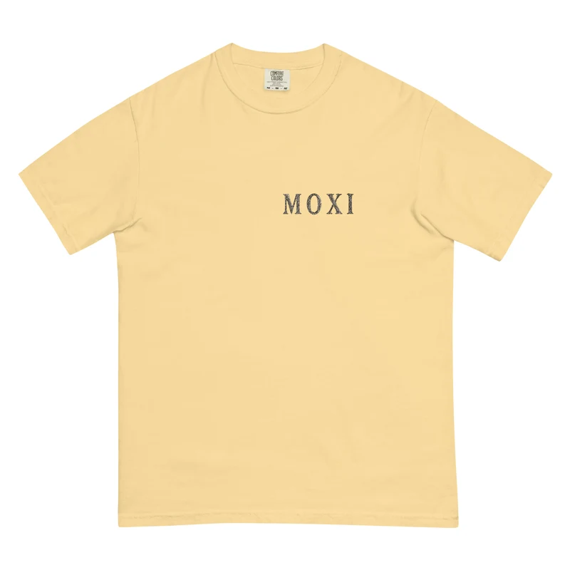 Moxi Sketchy Mushroom Unisex garment-dyed heavyweight t-shirt