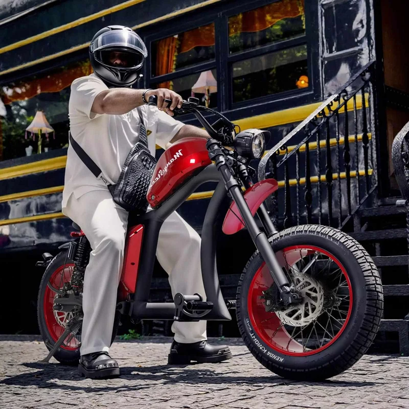 Mangosteen FT02 Chopper E-Bike EEC 48V 22.5Ah – For Sale in Switzerland