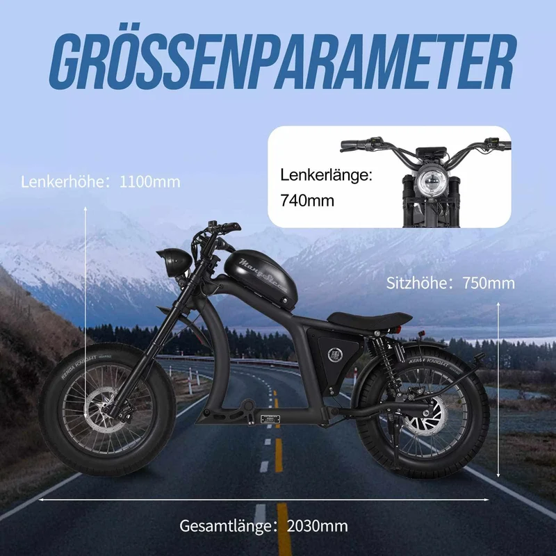 Mangosteen FT02 Chopper E-Bike EEC 48V 22.5Ah – For Sale in Switzerland