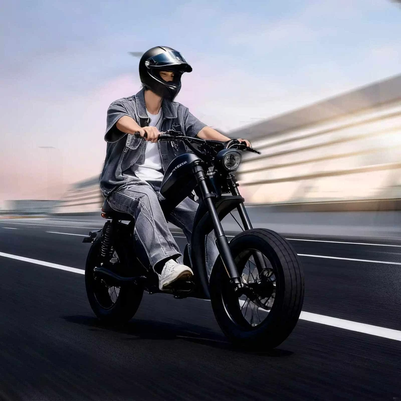 Mangosteen FT02 Chopper E-Bike EEC 48V 22.5Ah – For Sale in Switzerland