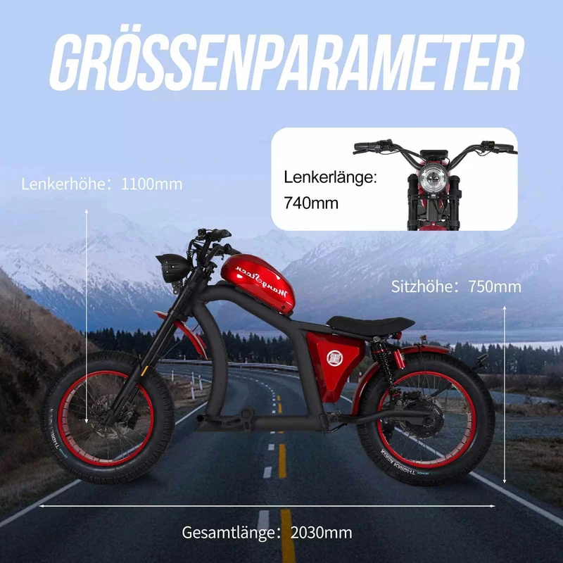 Mangosteen FT02 Chopper E-Bike EEC 48V 22.5Ah – For Sale in Switzerland