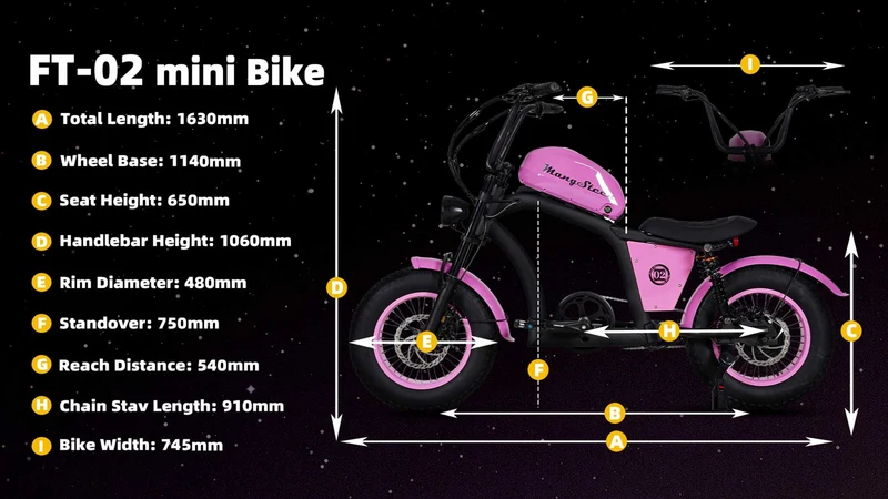 Mini eChopper Bike Mangosteen FT02 250W 25km/h Swiss Version for Sale
