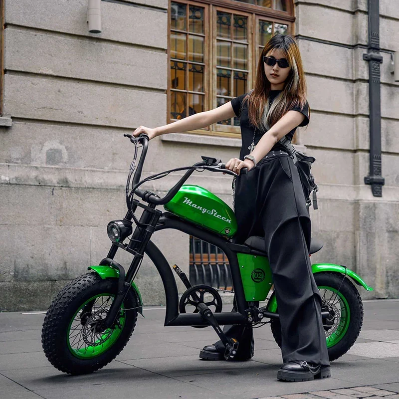 Mini eChopper Bike Mangosteen FT02 250W 25km/h Swiss Version for Sale