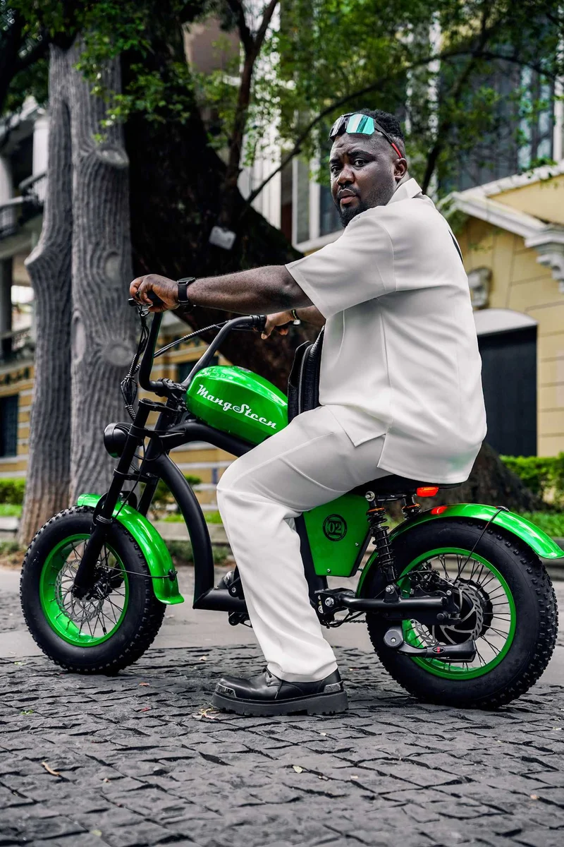 Mini eChopper Bike Mangosteen FT02 250W 25km/h Swiss Version for Sale