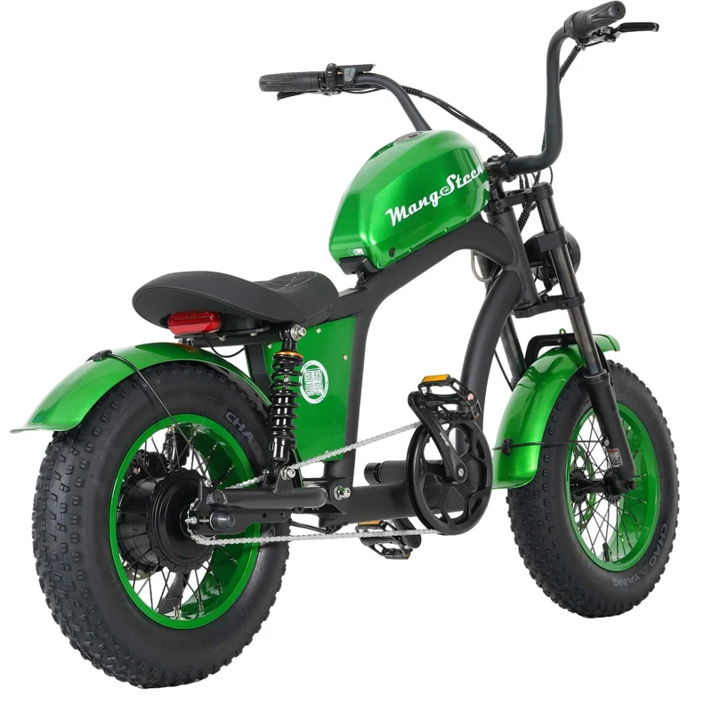 Mini eChopper Bike Mangosteen FT02 250W 25km/h Swiss Version for Sale