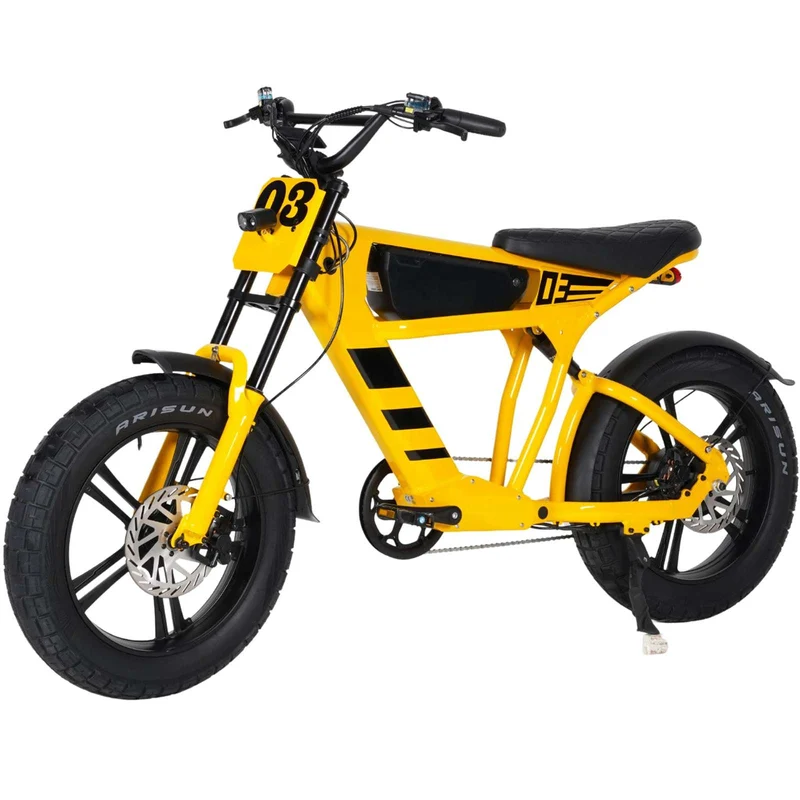 Mangosteen FT03 E-Bike 250W 25km/h – For Sale in Switzerland