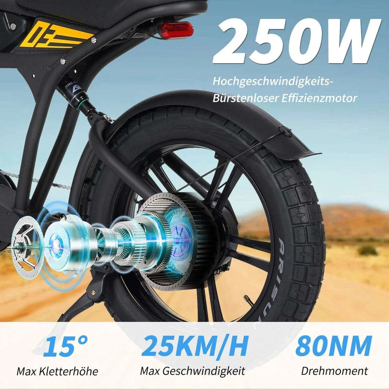 Mangosteen FT03 E-Bike 250W 25km/h – For Sale in Switzerland