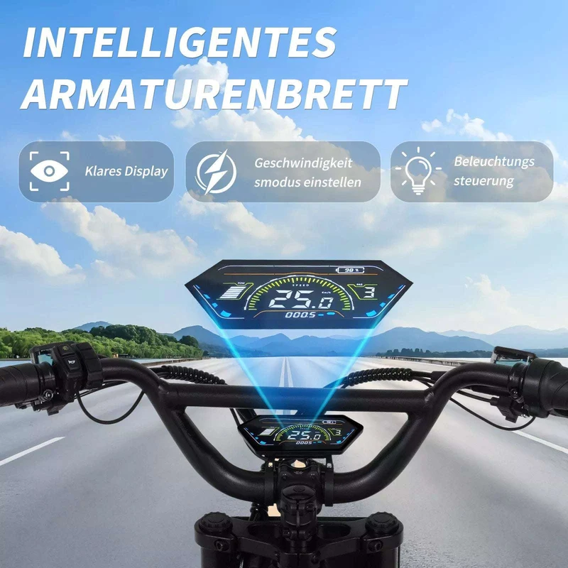 Mangosteen FT03 E-Bike 250W 25km/h – For Sale in Switzerland