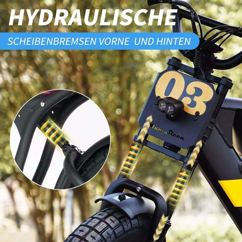 Mangosteen FT03 E-Bike 250W 25km/h – For Sale in Switzerland