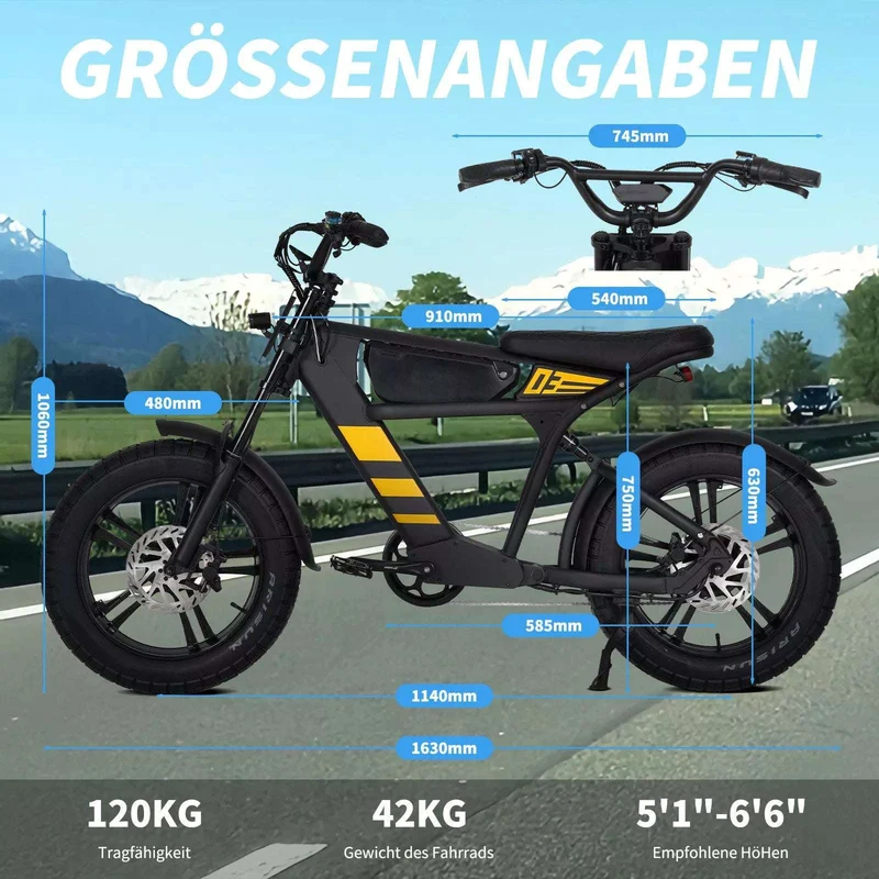 Mangosteen FT03 E-Bike 250W 25km/h – For Sale in Switzerland