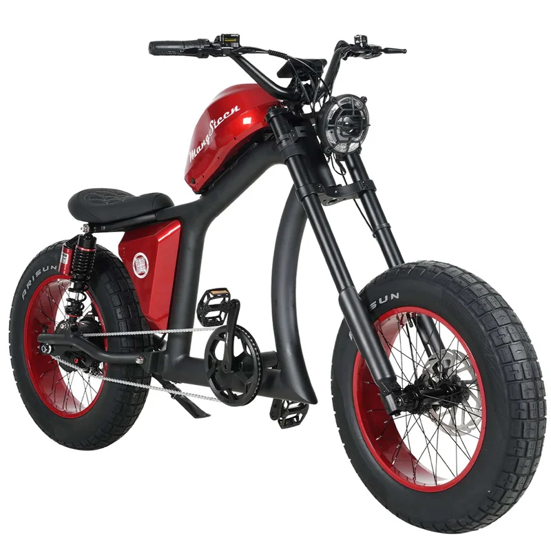 Fat Tire Electric Bike with Aluminum Frame for Adults CE EU for Sale