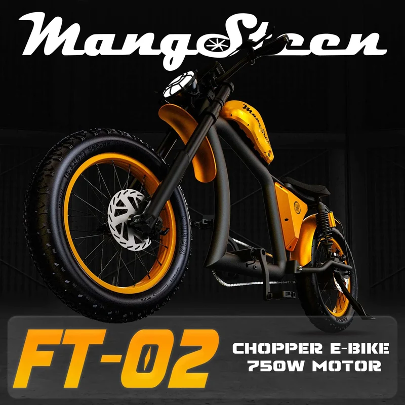 Fat Tire Electric Bike with Aluminum Frame for Adults CE EU for Sale