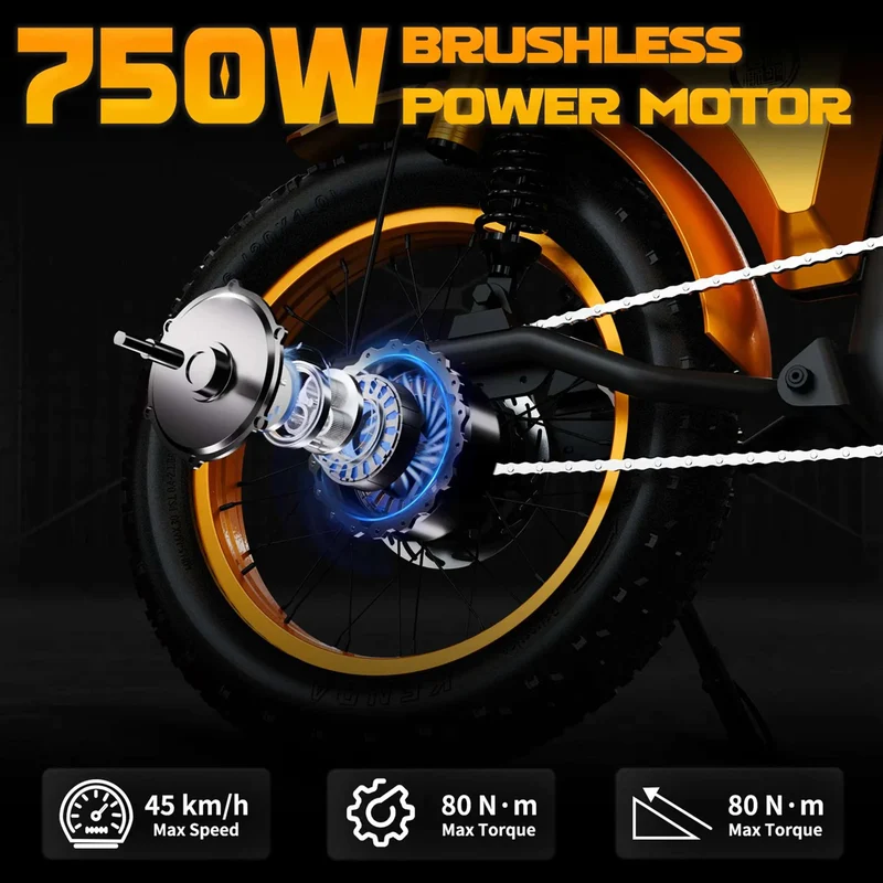 Fat Tire Electric Bike with Aluminum Frame for Adults CE EU for Sale