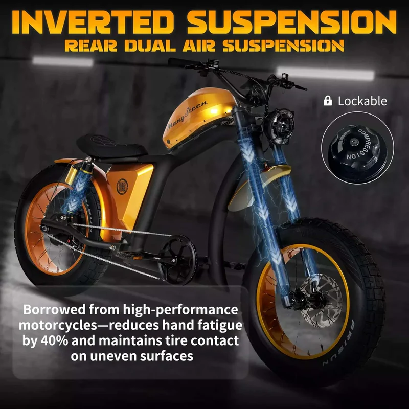 Fat Tire Electric Bike with Aluminum Frame for Adults CE EU for Sale