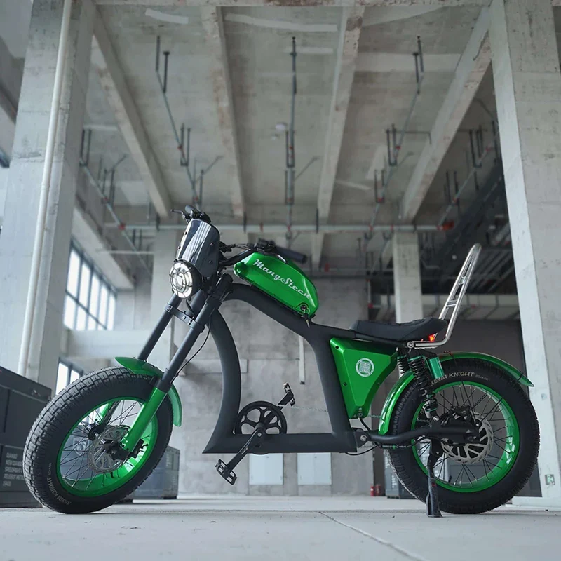 Fat Tire Electric Bike with Aluminum Frame for Adults CE EU for Sale
