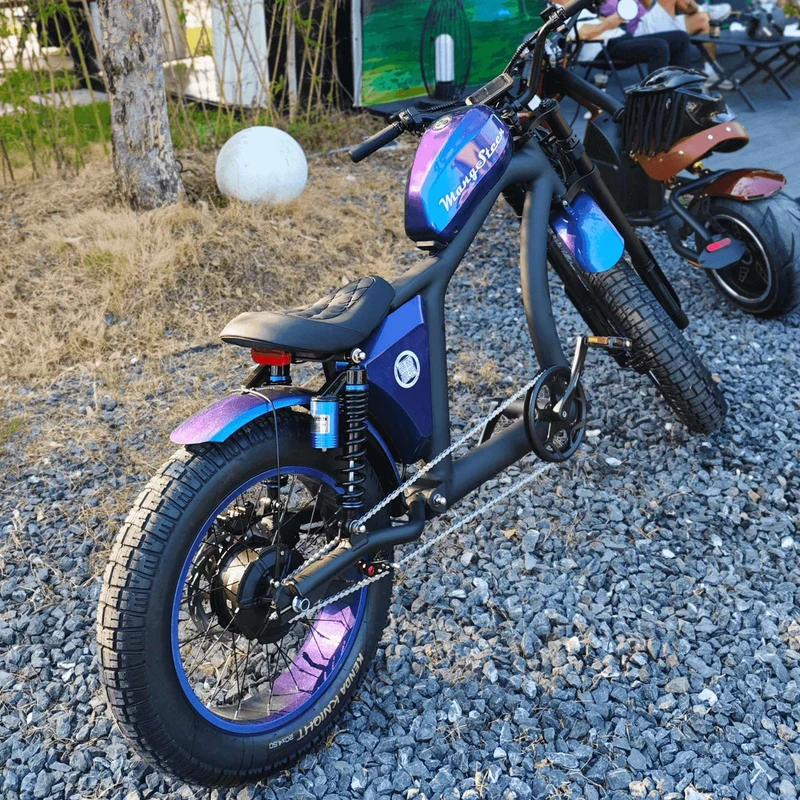 Fat Tire Electric Bike with Aluminum Frame for Adults CE EU for Sale