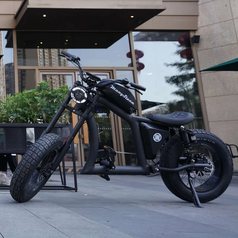 Fat Tire Electric Bike with Aluminum Frame for Adults CE EU for Sale