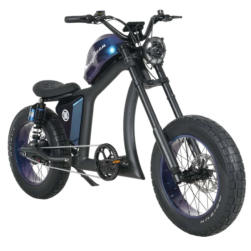 Fat Tire Electric Bike with Aluminum Frame for Adults CE EU for Sale