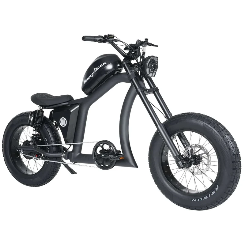 Fat Tire Electric Bike with Aluminum Frame for Adults CE EU for Sale