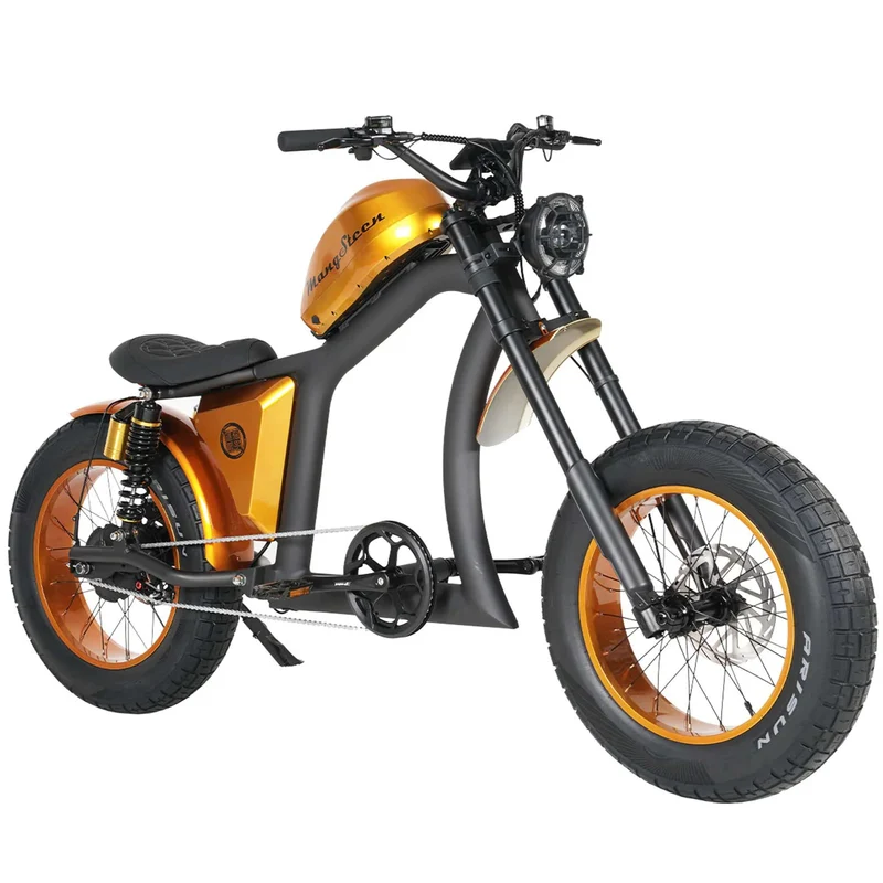 Fat Tire Electric Bike with Aluminum Frame for Adults CE EU for Sale