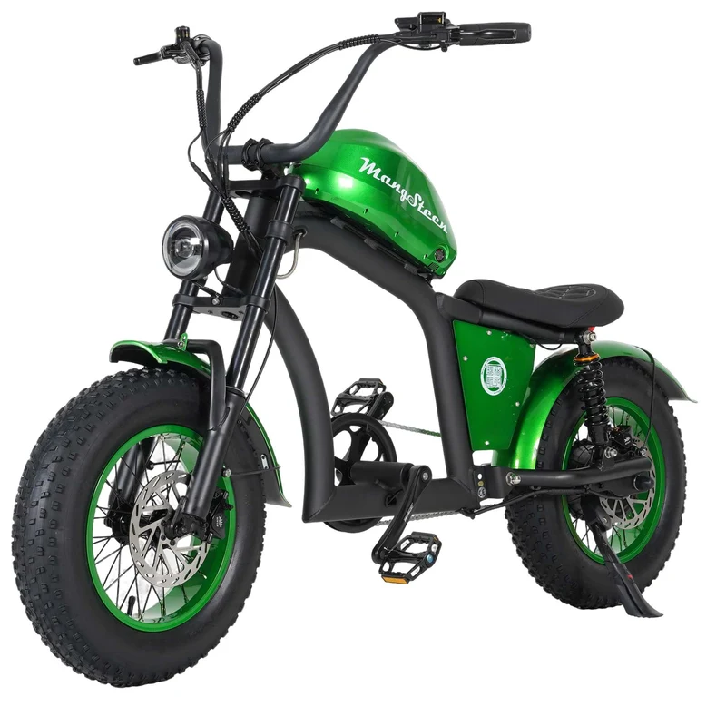 Electric Bike Mangosteen FT02 CE EU 25km/h for Adults & Teens for Sale