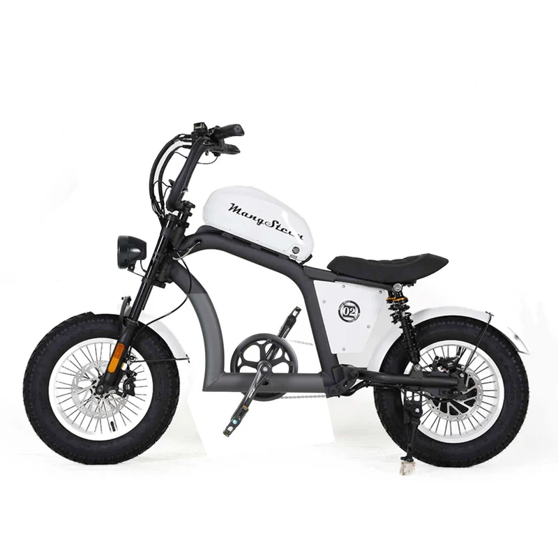 Electric Bike Mangosteen FT02 CE EU 25km/h for Adults & Teens for Sale