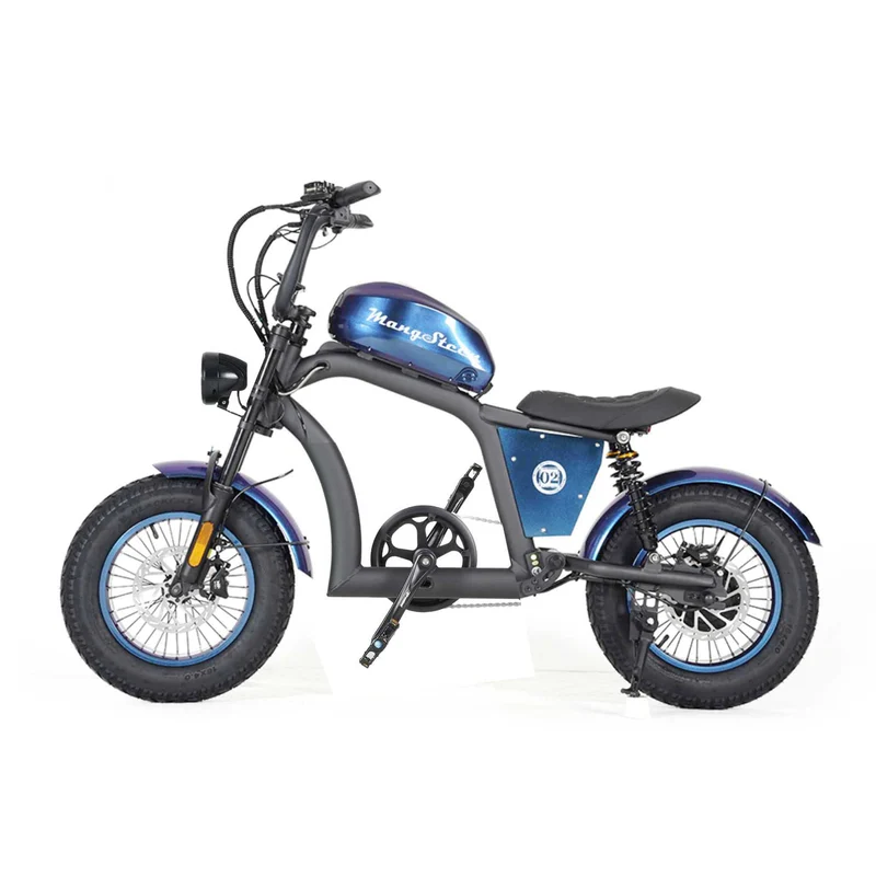 Electric Bike Mangosteen FT02 CE EU 25km/h for Adults & Teens for Sale