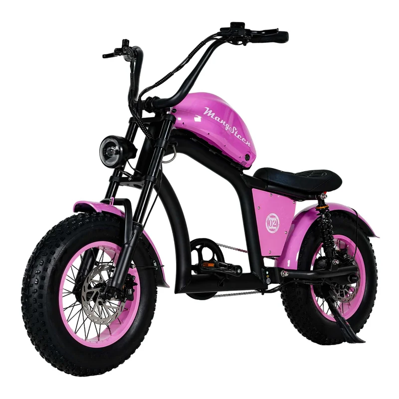 Electric Bike Mangosteen FT02 CE EU 25km/h for Adults & Teens for Sale