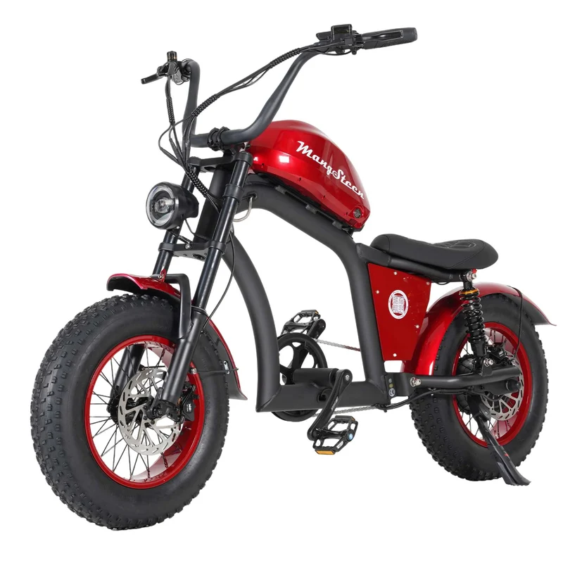 Electric Bike Mangosteen FT02 CE EU 25km/h for Adults & Teens for Sale