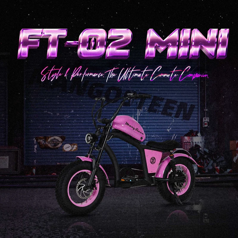 Electric Bike Mangosteen FT02 CE EU 25km/h for Adults & Teens for Sale