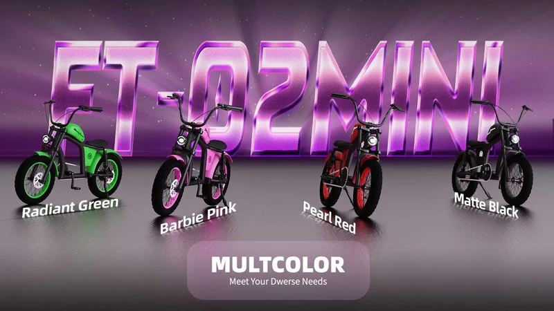 Electric Bike Mangosteen FT02 CE EU 25km/h for Adults & Teens for Sale