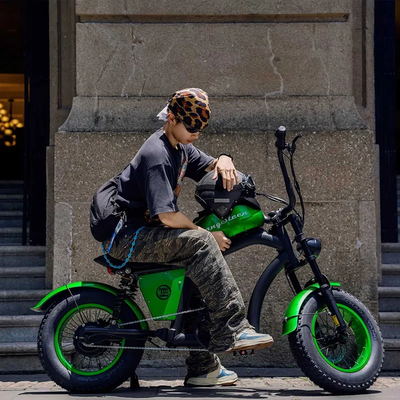 Electric Bike Mangosteen FT02 CE EU 25km/h for Adults & Teens for Sale