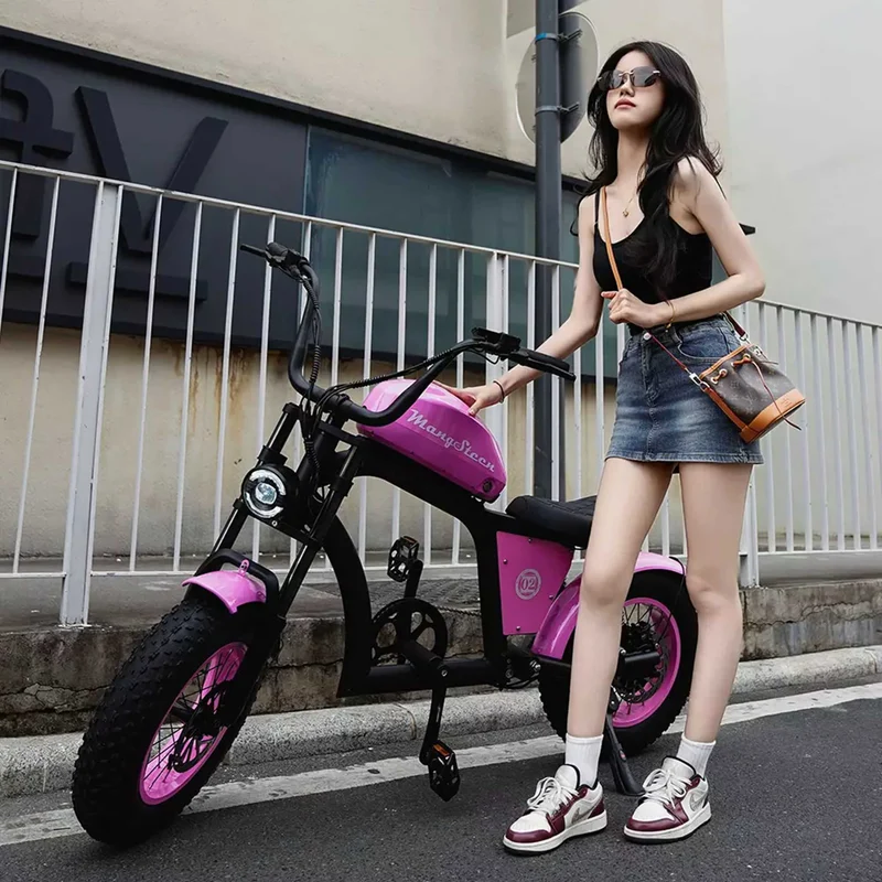 Electric Bike Mangosteen FT02 CE EU 25km/h for Adults & Teens for Sale