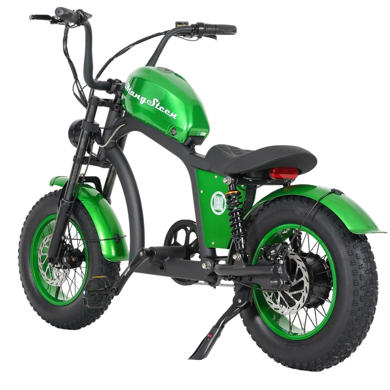 Electric Bike Mangosteen FT02 CE EU 25km/h for Adults & Teens for Sale