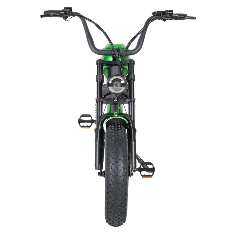Electric Bike Mangosteen FT02 CE EU 25km/h for Adults & Teens for Sale
