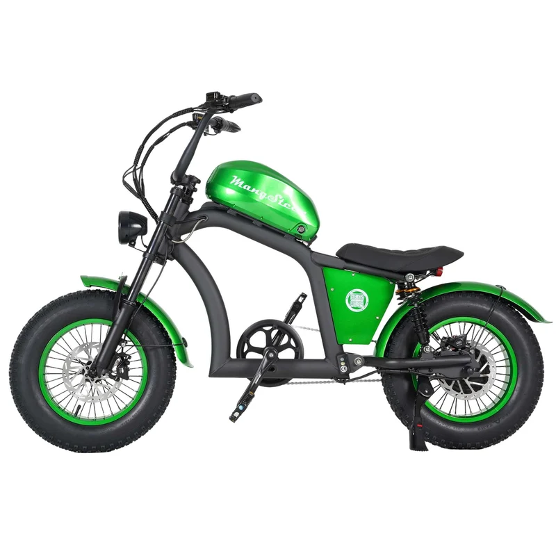 Electric Bike Mangosteen FT02 CE EU 25km/h for Adults & Teens for Sale