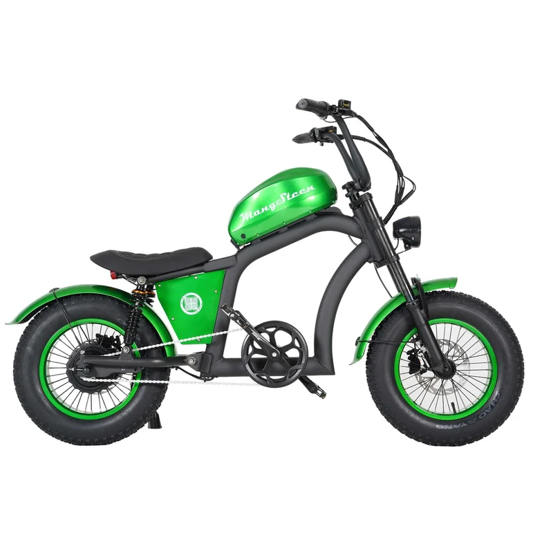 Electric Bike Mangosteen FT02 CE EU 25km/h for Adults & Teens for Sale
