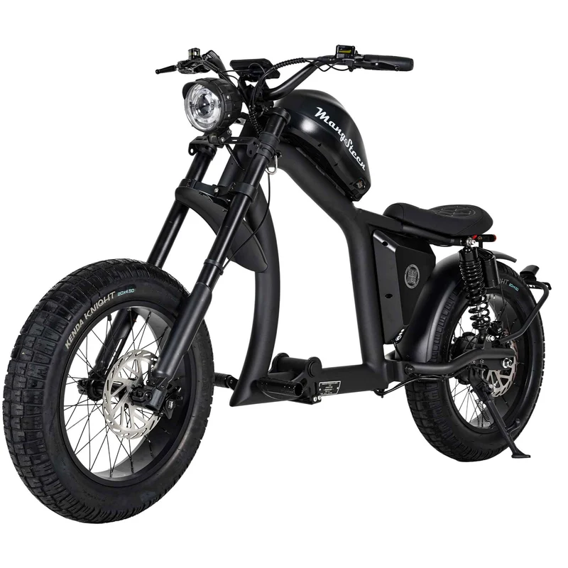 Street Legal Electric Bike Mangosteen FT02 1000w 45km/h EEC COC CE