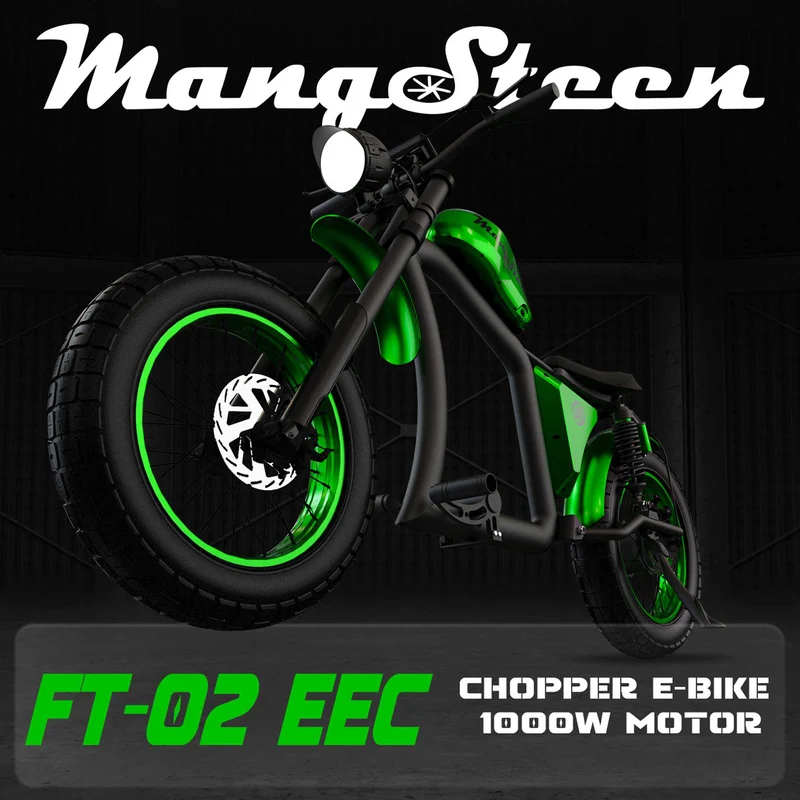 Street Legal Electric Bike Mangosteen FT02 1000w 45km/h EEC COC CE