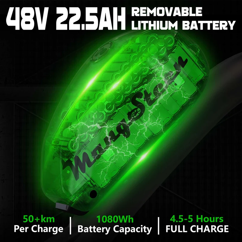 Street Legal Electric Bike Mangosteen FT02 1000w 45km/h EEC COC CE