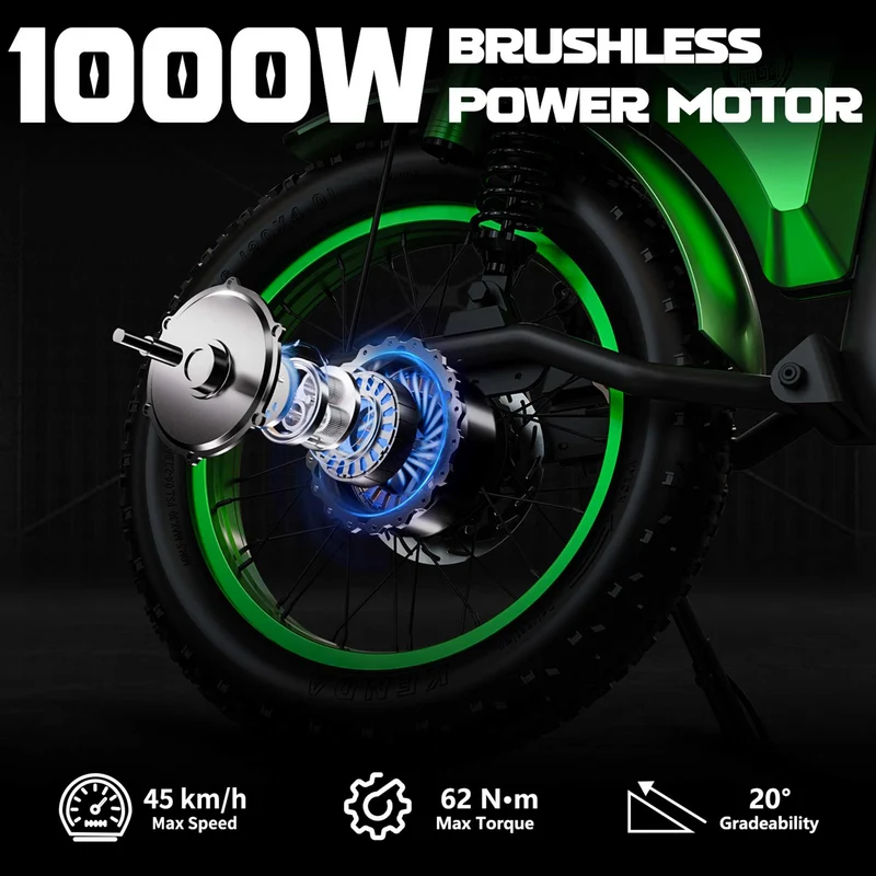 Street Legal Electric Bike Mangosteen FT02 1000w 45km/h EEC COC CE