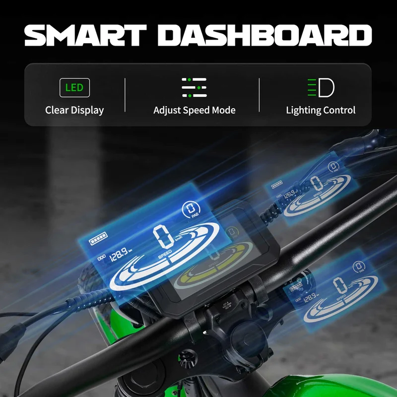 Street Legal Electric Bike Mangosteen FT02 1000w 45km/h EEC COC CE