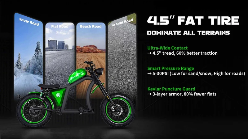 Street Legal Electric Bike Mangosteen FT02 1000w 45km/h EEC COC CE