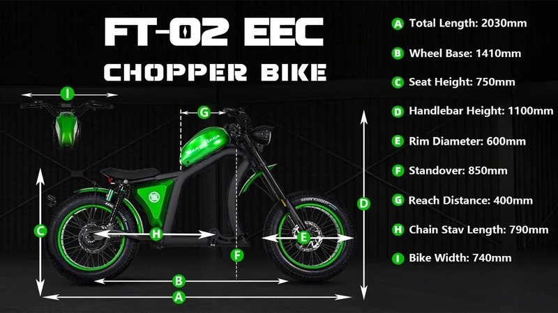 Street Legal Electric Bike Mangosteen FT02 1000w 45km/h EEC COC CE