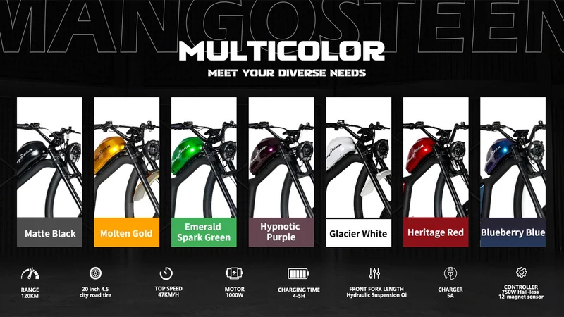 Street Legal Electric Bike Mangosteen FT02 1000w 45km/h EEC COC CE