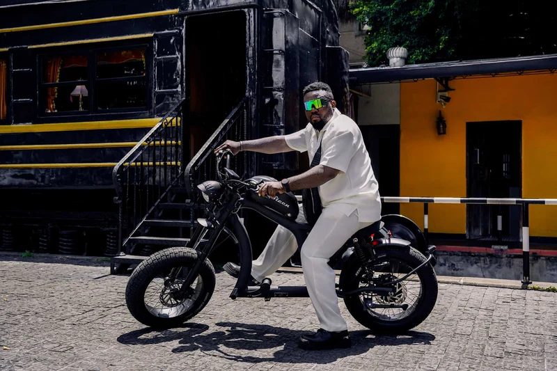Street Legal Electric Bike Mangosteen FT02 1000w 45km/h EEC COC CE